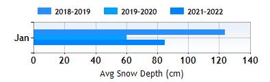 Scuol January snow