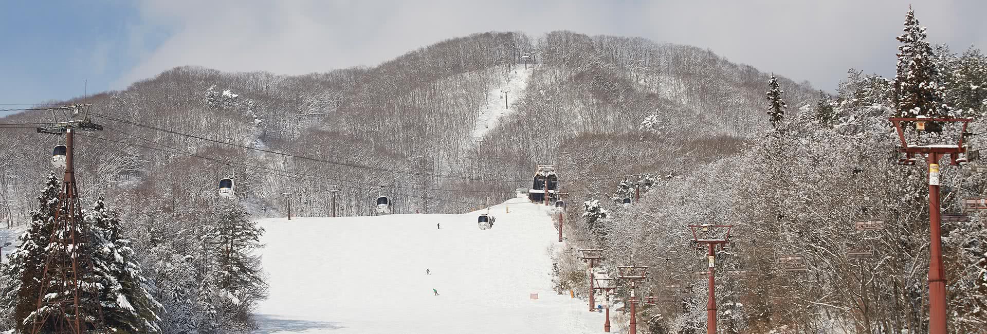 hakuba 5