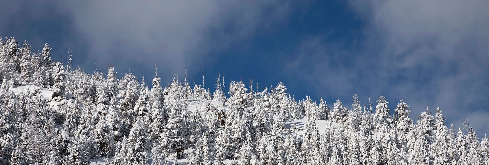 La Massana Ski Holidays 2024 2025 | Skiing La Massana | SNO