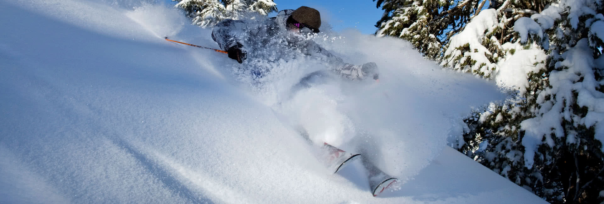 la plagne tree skiing