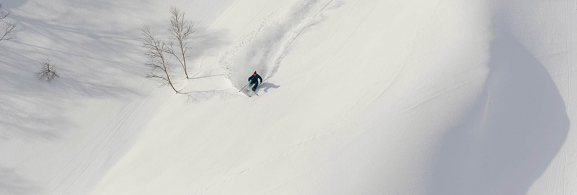 niseko carving