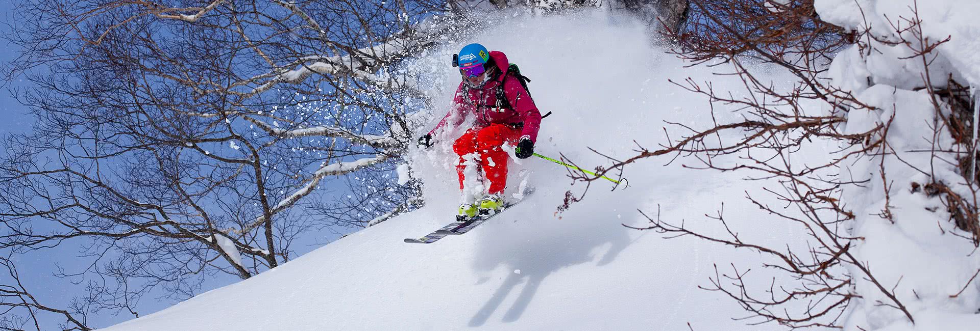 niseko tree skiing