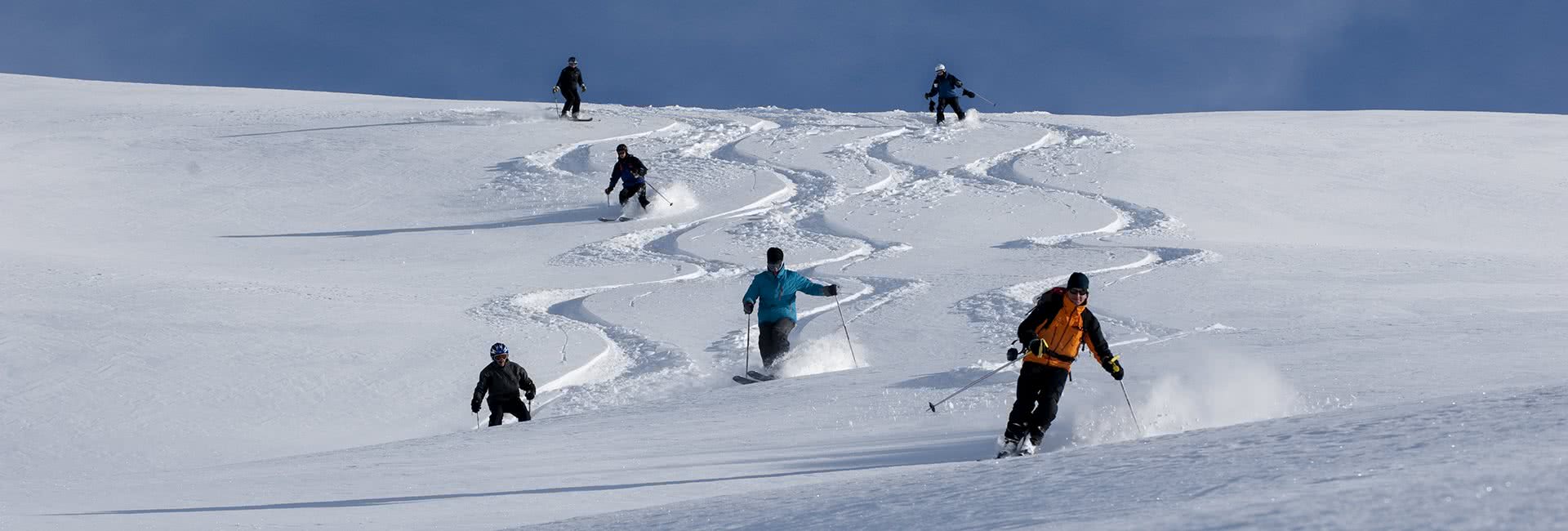 panorama first tracks