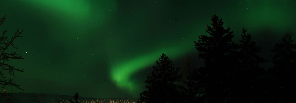 salla aurora