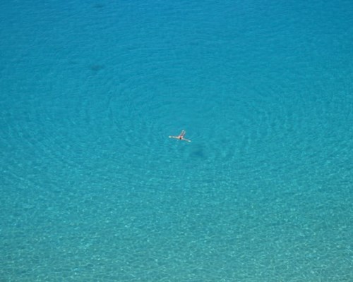 swimmer laying in the sea