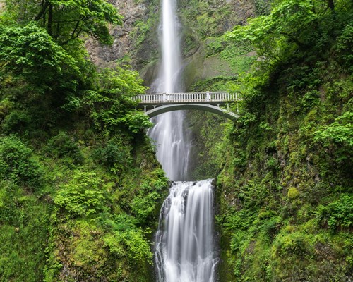 Cascading waterfall with a bridge surrounded by lush greenery