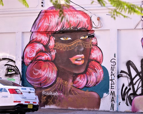 Graffiti art on the walls of Miami