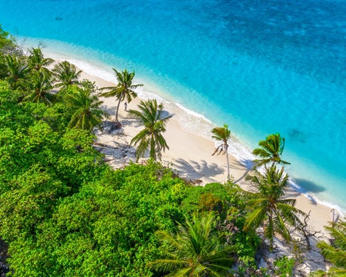 Aerial view off palm trees swaying in the wind on a white sand beach with bright blue sea