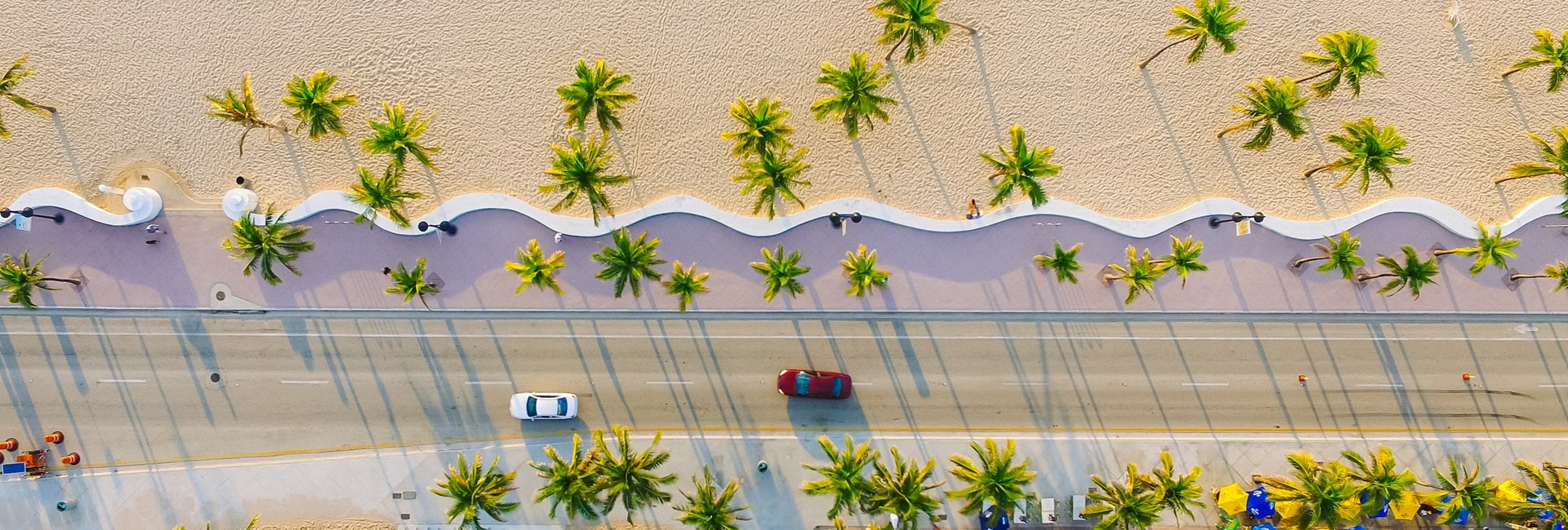 Busy road of Miami by the beach dotted with palms