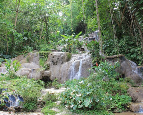 A waterfall cascading down a rocky hill in the middle of a jungle