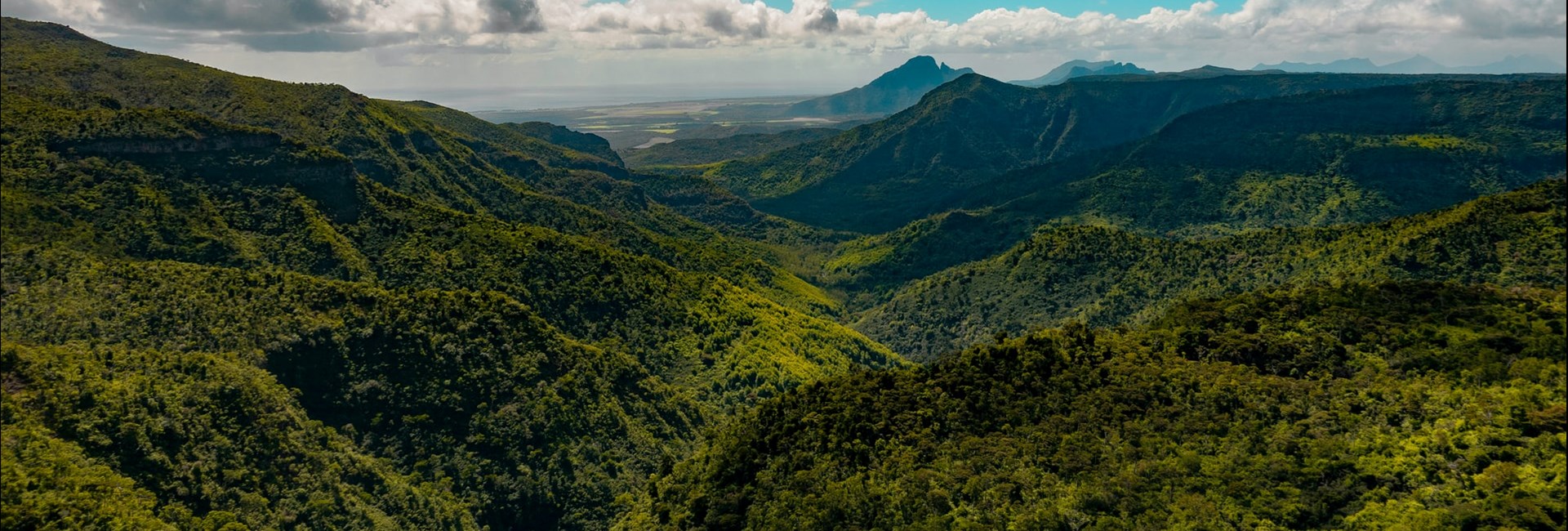 View Of Forests And Mountains